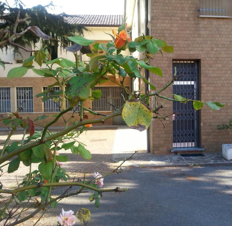 B&B Gloria Gallarate Esterno foto