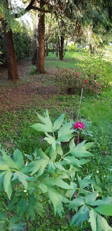 B&B Gloria Gallarate Esterno foto